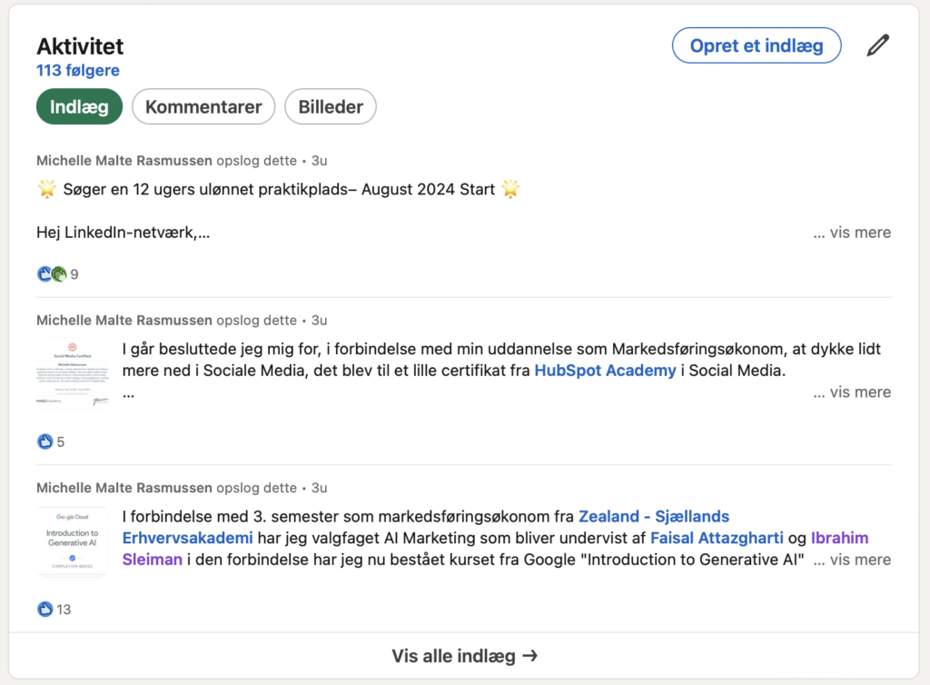 Michelle's Linkedin aktiviteter fra 2024